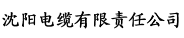 亚洲精品成a人在线观看电缆厂logo